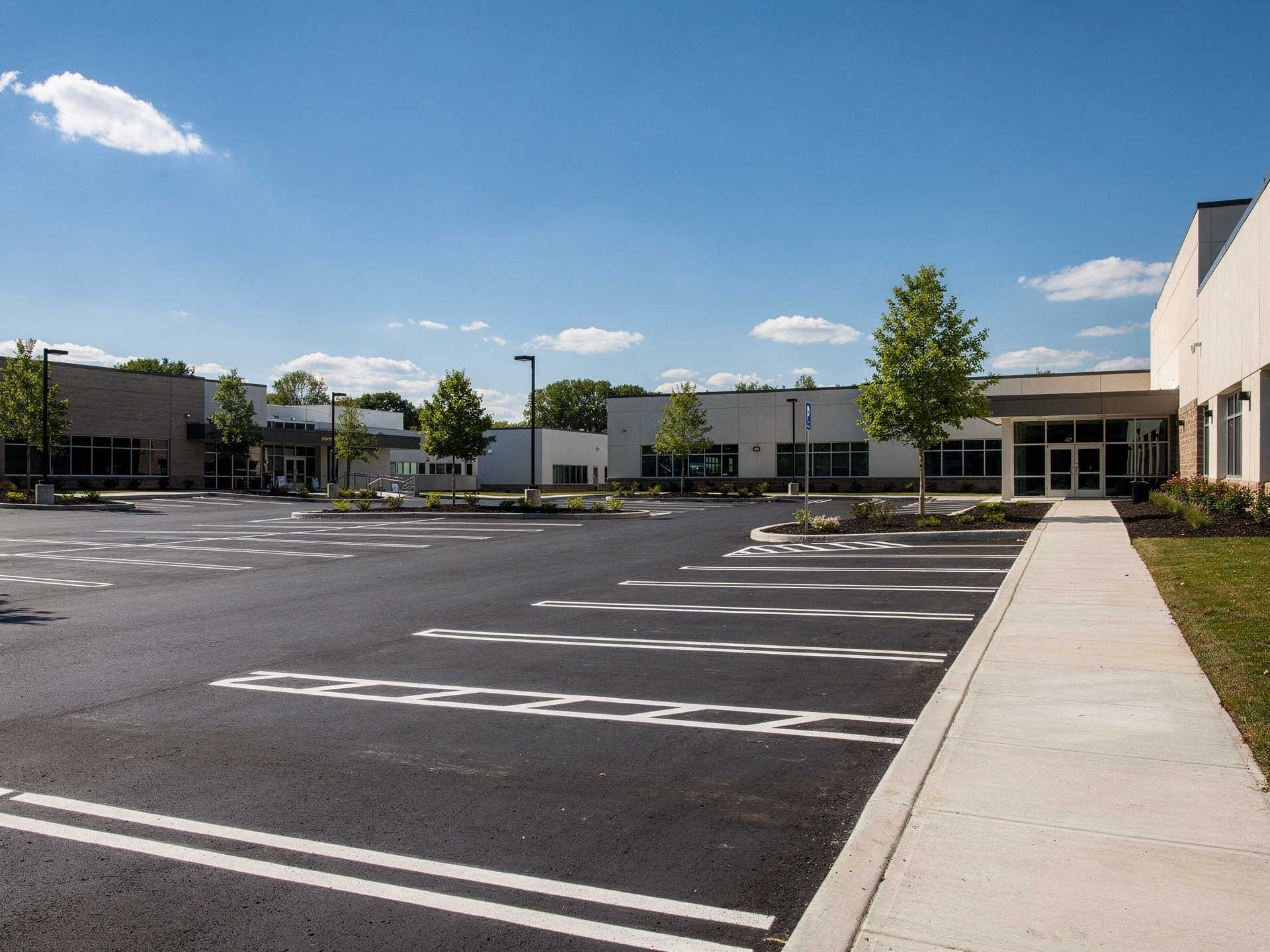 A freshly line-striped commercial parking lot on a sunny day